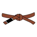 Brown Belt Icon
