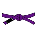 Purple Belt Icon